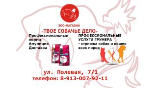 g7y01ZcoRO81.jpg