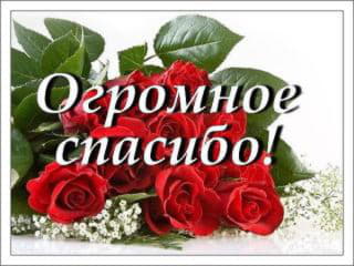 post-248525-1486561311_thumb.jpg