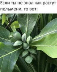 post-540136-1551119890_thumb.jpg