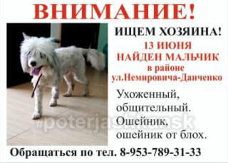 post-245726-1529236160_thumb.jpg
