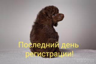 post-12096-1562032872_thumb.jpg