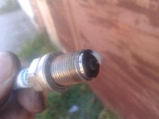 post-407622-1473000223_thumb.jpg