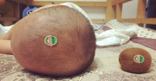 post-758-1476114076_thumb.jpg