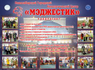 post-25048-1508384879_thumb.jpg