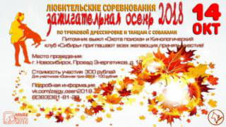 post-110168-1539015063_thumb.jpg