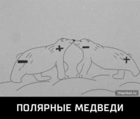 post-144140-1479430797_thumb.jpg