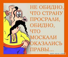 post-51333-1699612877_thumb.jpg