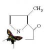biochemist