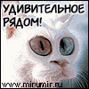 Xsirox