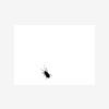 Invader
