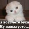 Ticker