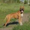 Zeggy