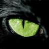 Nils_Nils