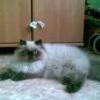 Evgenya81