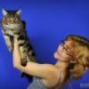 MAXICATS.RU