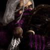 aSSaSSin