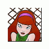 koshka_rrr
