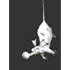 Grey Mouse