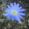 LaraSpring