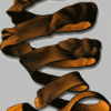 Lasarus
