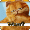VasH_sh