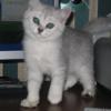 lady-irina