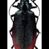 bug_fix