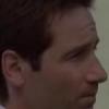 Mulder Fox