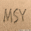 msy-nsk