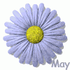 May