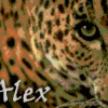 Аlex_