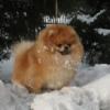 Марианночка